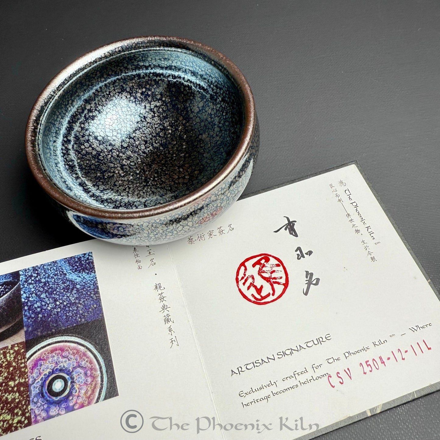 Starveil Large Edition Oil-spot Jian Zhan (CSV 2504-12-11L)