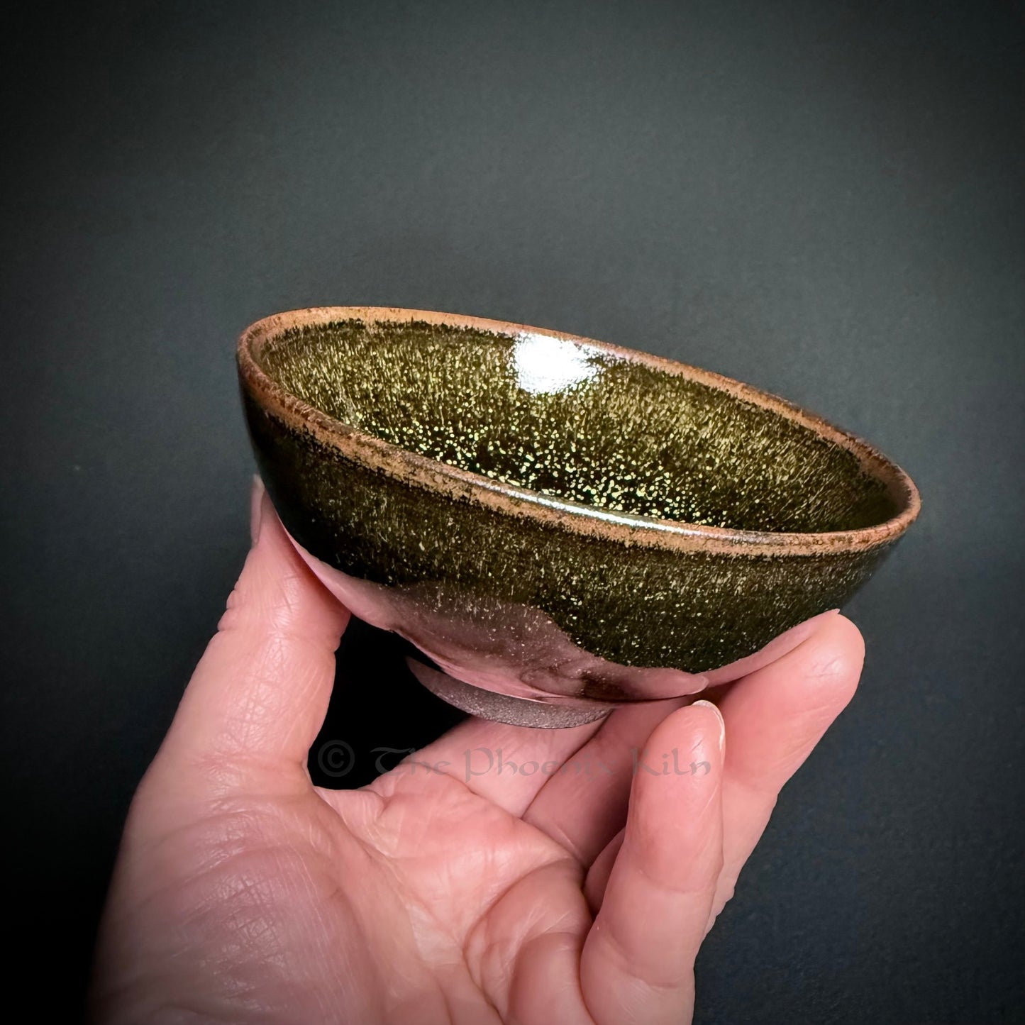 Daisyfall - Skyward Dragon Kiln Wood-Fired Jian Zhan (125ml)(MDF 2504-06-05)