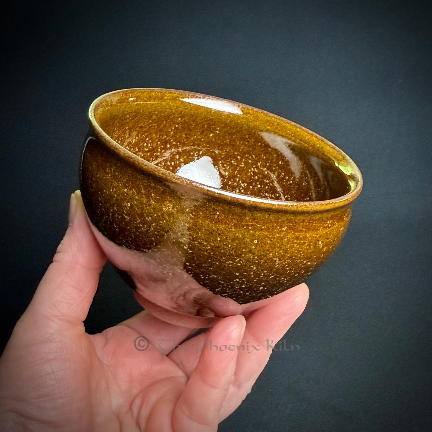 DaisyFLare – Dragon Kiln Wood-fired Jian Zhan (225ml) (FDF 2504-32-28)