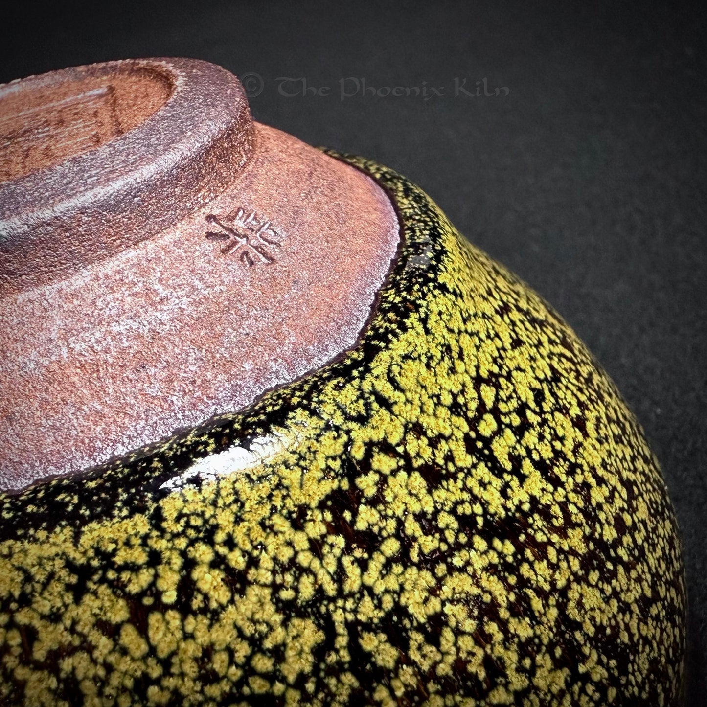 Daisy - Skyward Dragon Kiln Wood-Fired Jian Zhan (180ml)(SDD 2508-23-17)
