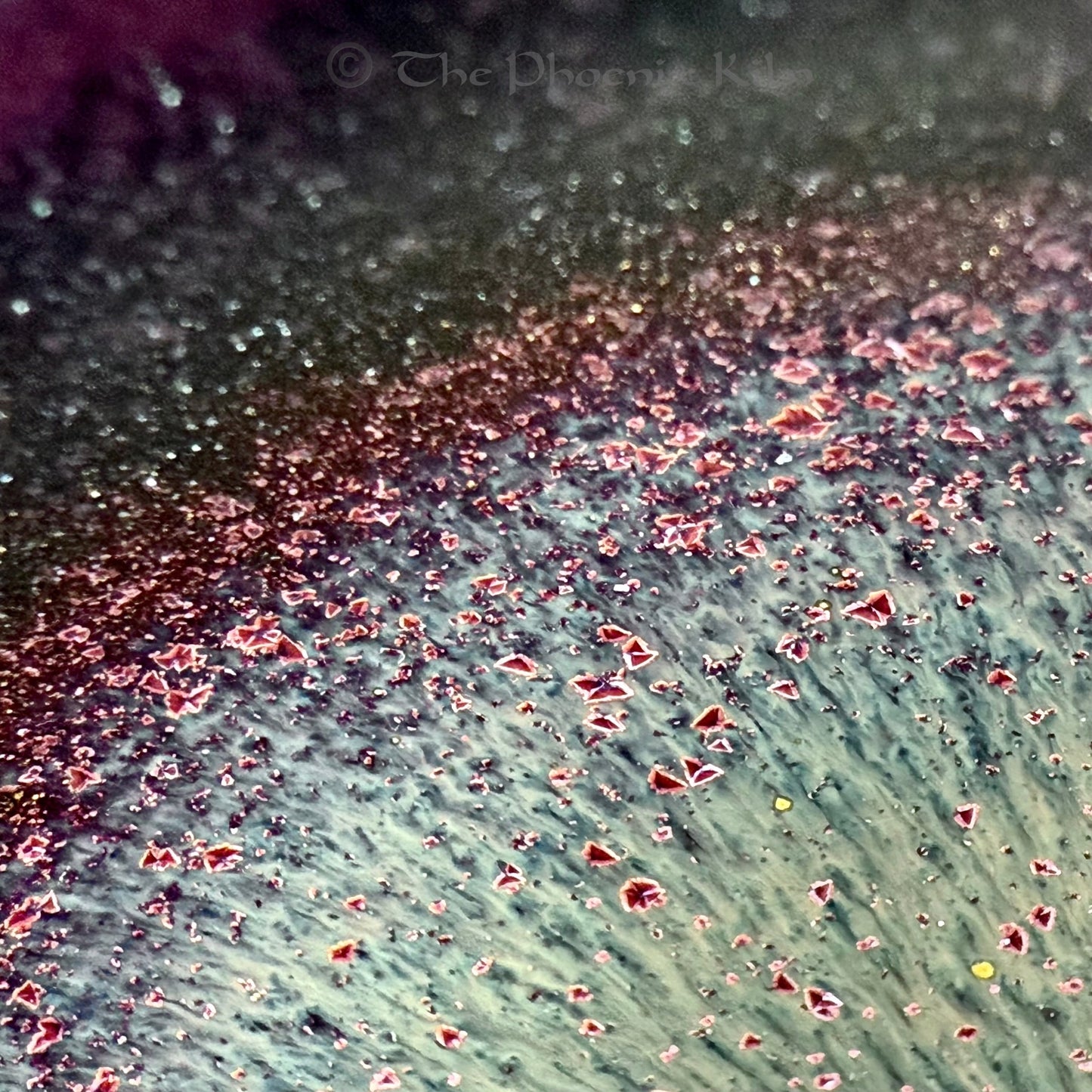 Prairie Wood-Fired Masterpiece (SDP 2508-14-13)