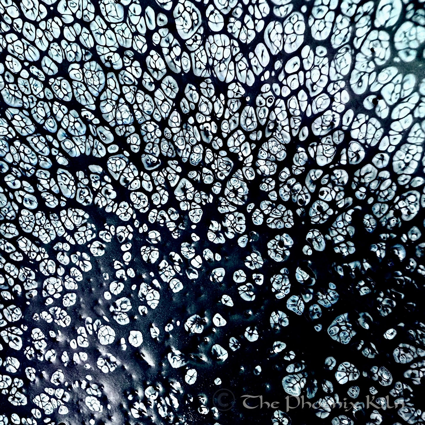 Void Pearl Oil-spot Jian Zhan (CVP 2504-20-18)