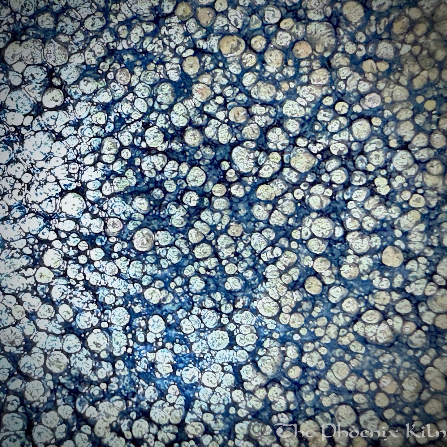 Starveil Oil-Spot Jian Zhan（CSV 2505-30-26M）