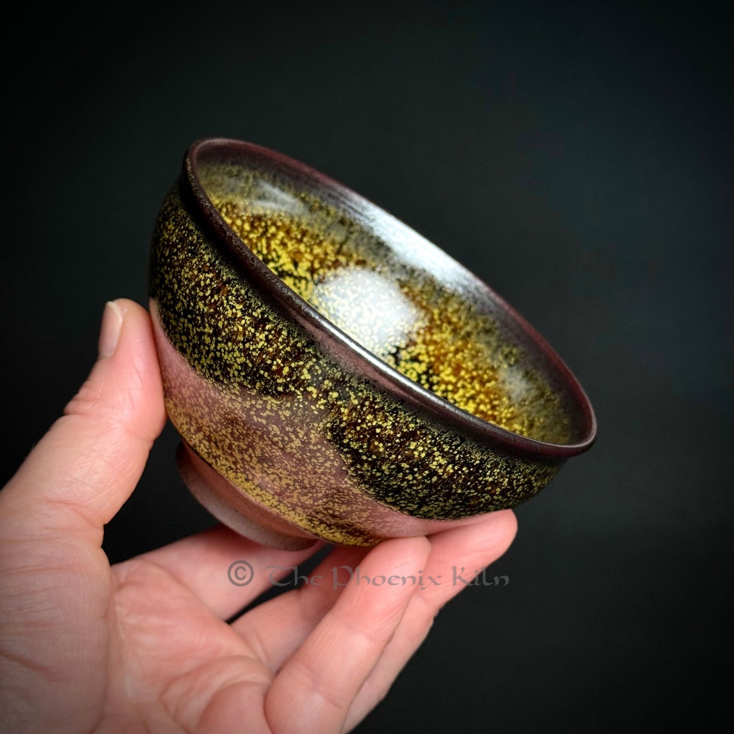 Daisy - Skyward Dragon Kiln Wood-Fired Jian Zhan (180ml)(SDD 2508-23-17)