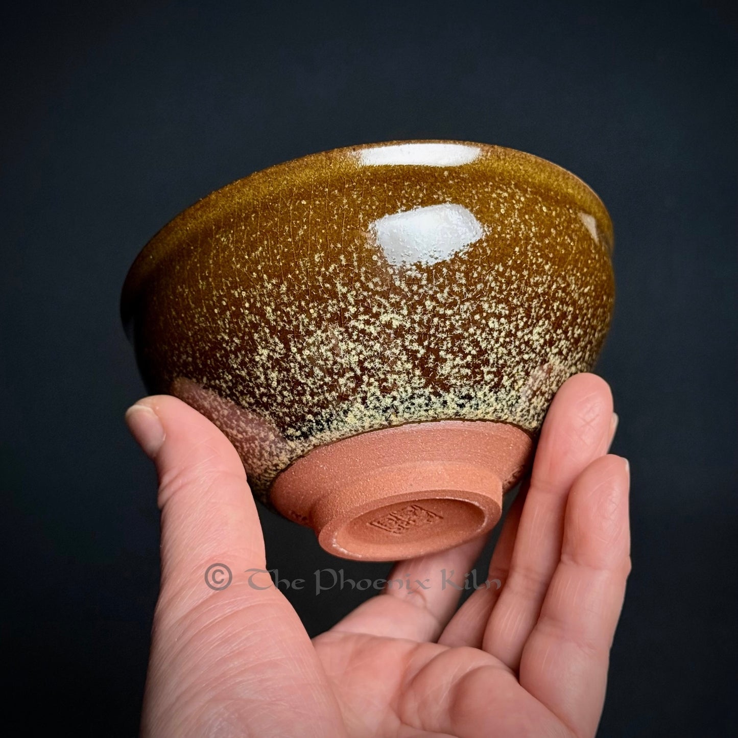 DaisyFLare – Dragon Kiln Wood-fired Jian Zhan(220ml) (FDF 2504-32-27)