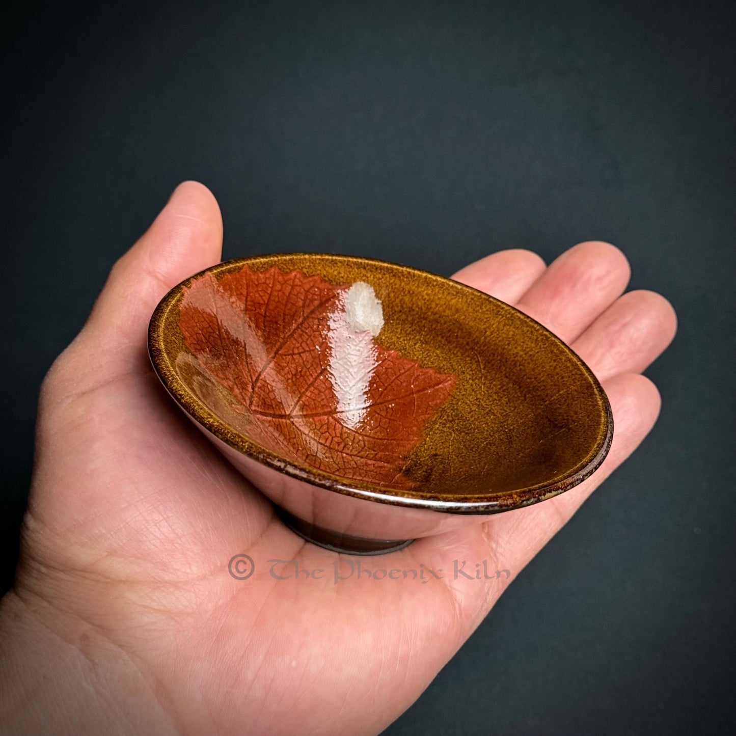 Still Leaf - Dragon Kiln Wood-fired Jian Zhan (100ml) (STL 2510-30-21)