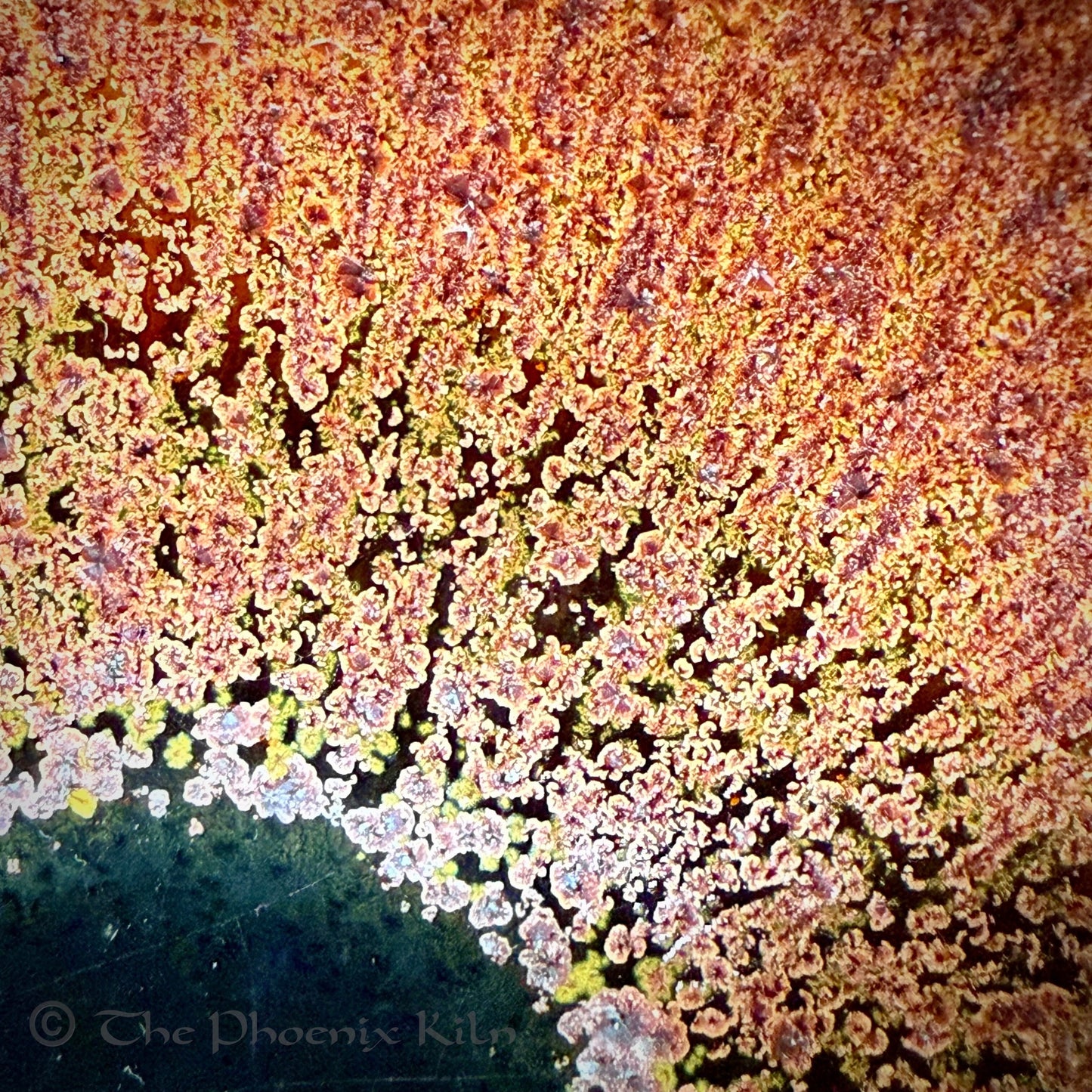 Emberforge Wood-fired Masterpiece (SDE 2508-48-47)