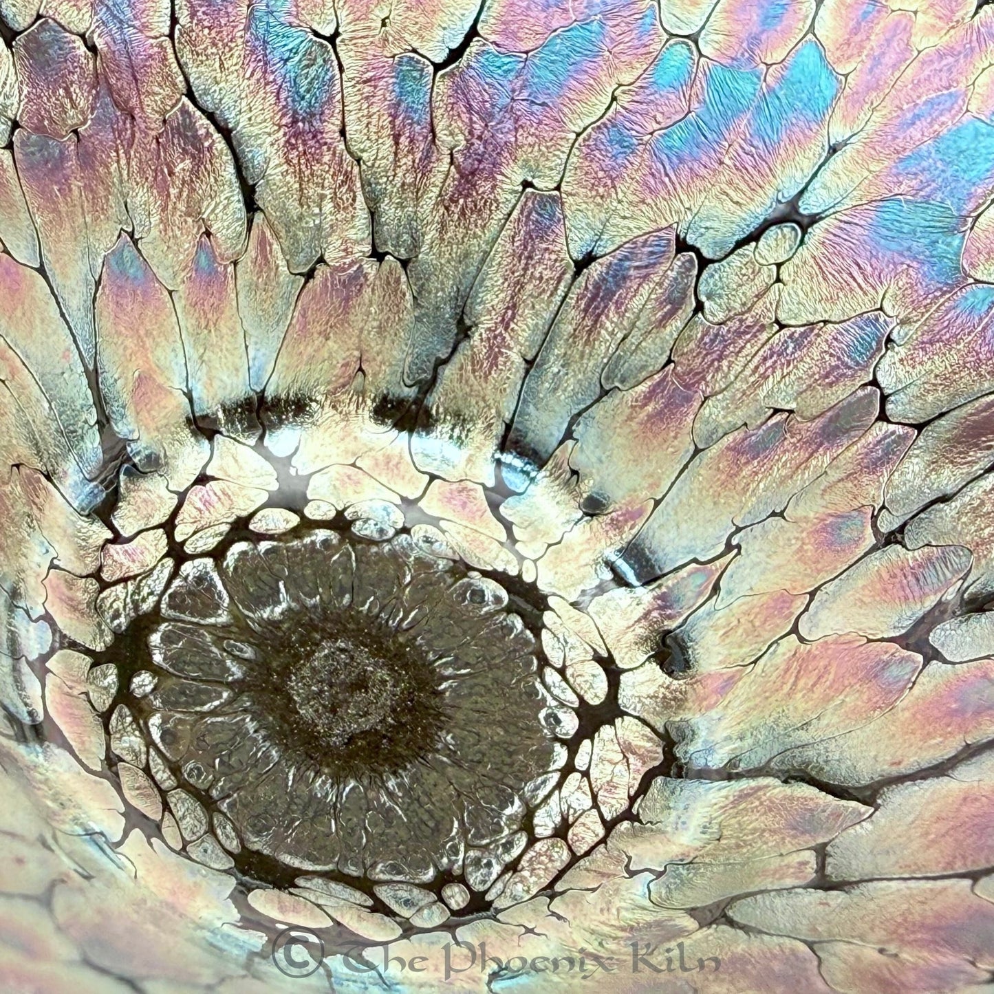 Plume Yohen Jian Zhan(FPM 2506-16-13)