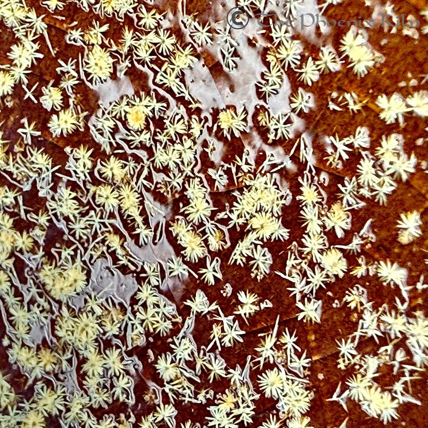 Daisyflare Wood-fired Jian Zhan (FDF 2504-32-30)