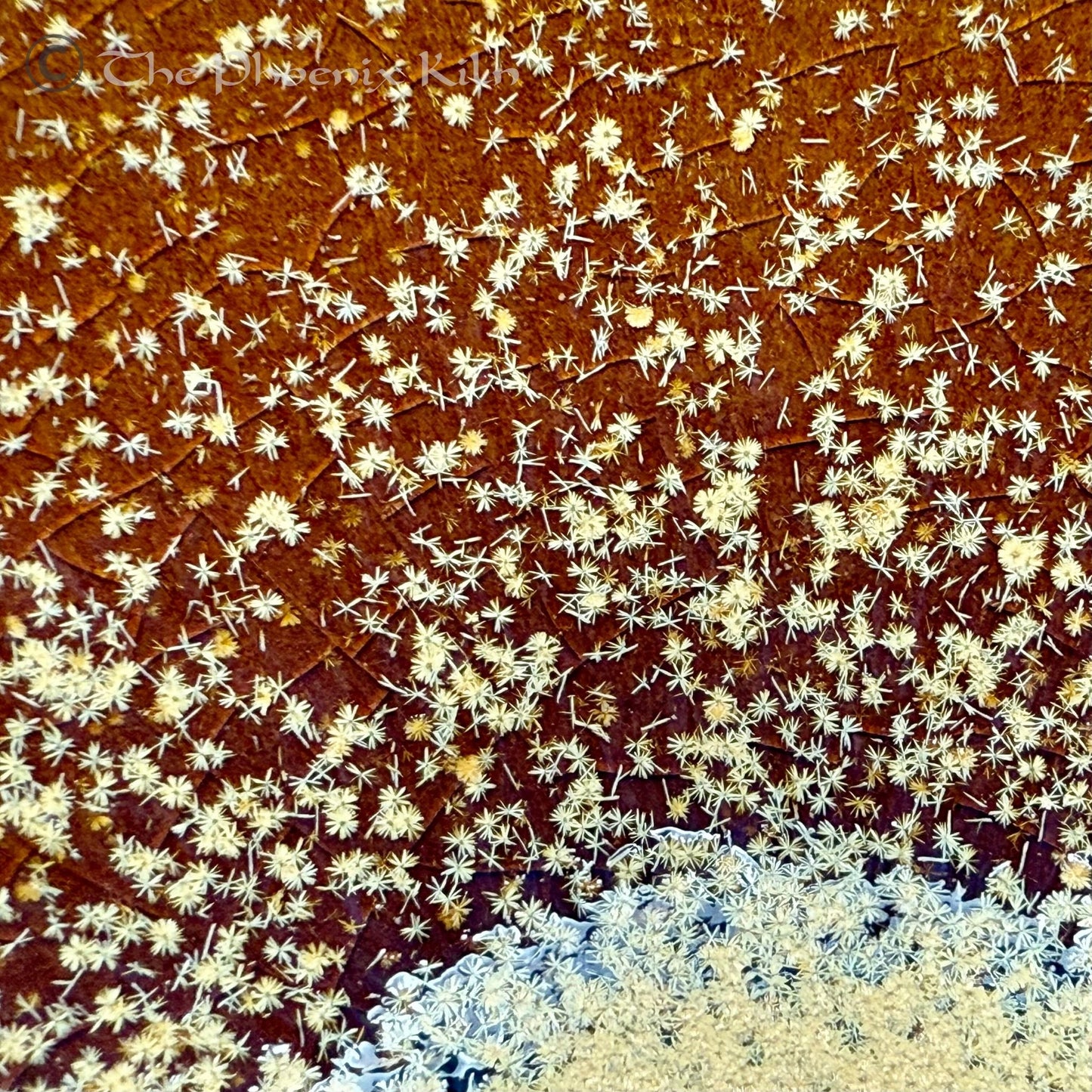 Daisyflare Wood-fired Jian Zhan (FDF 2504-32-30)