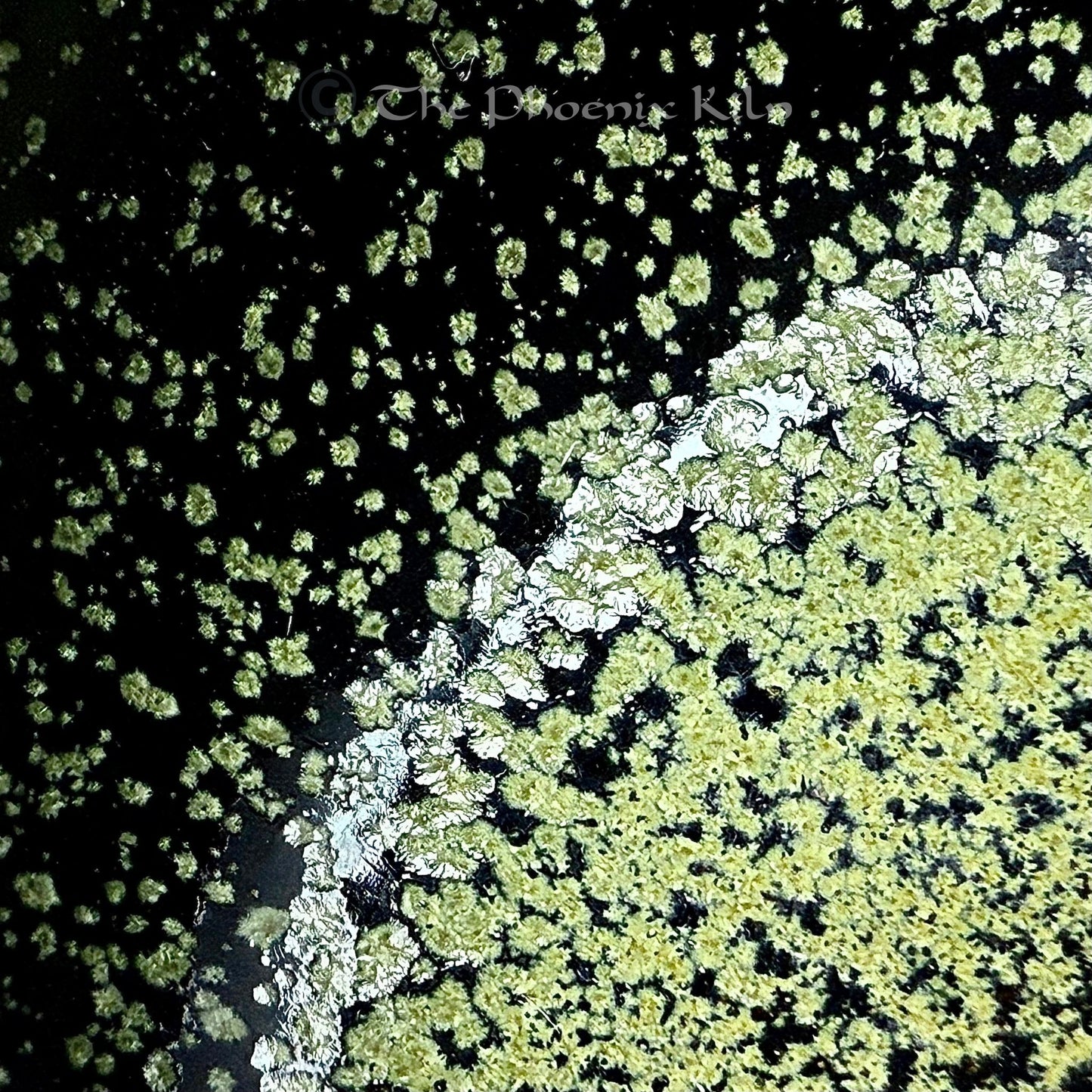 Dewdaisy Wood-fired Jian Zhan (FDD 2504-15-14)